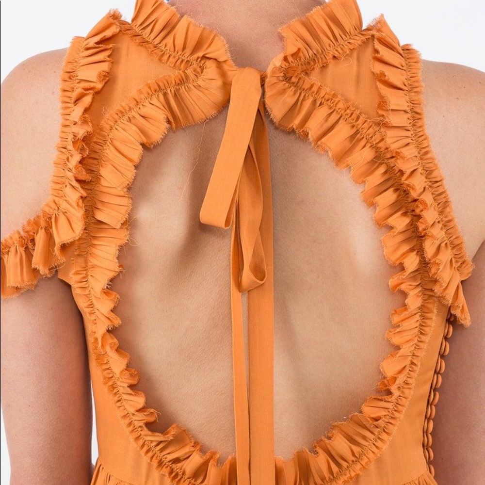 Magda Butrym Assisi Dress - Picture 5 of 11